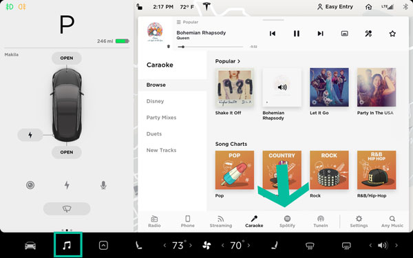 Tesla Spotify