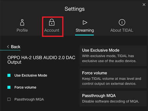 delete Tidal account on web