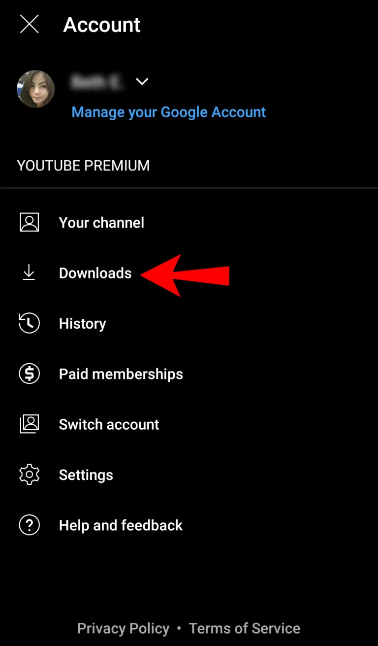 view downloaded youtube music