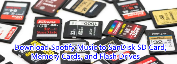 Sandisk SD 카드에서 Spotify 재생