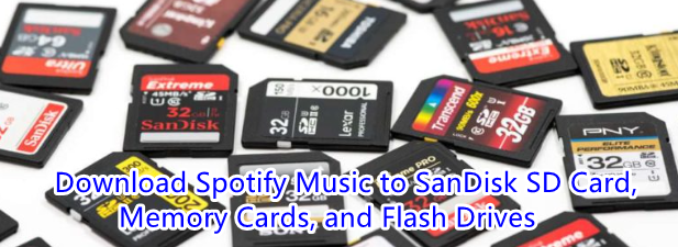 在 sandisk sd 卡上播放 spotify