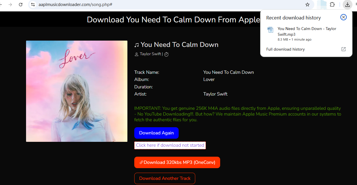 download You Need To Calm Down song completed