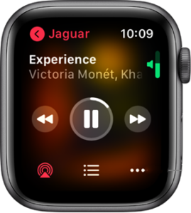 játszani a Pandorát offline az Apple Watchon