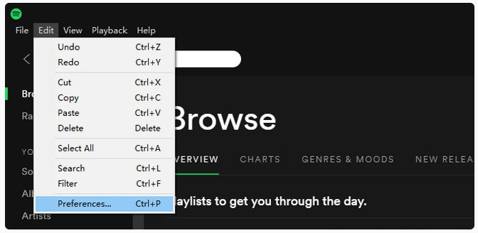 Spotify preference