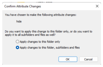 hide files in Windows 11