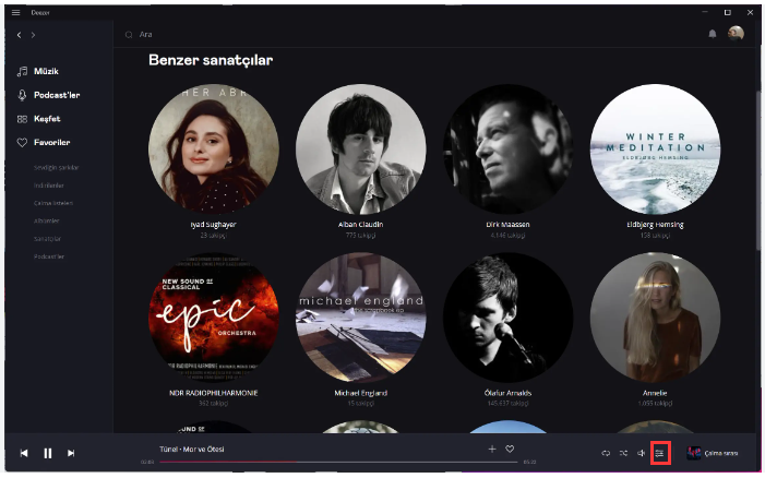 set hifi quality in deezer desktop