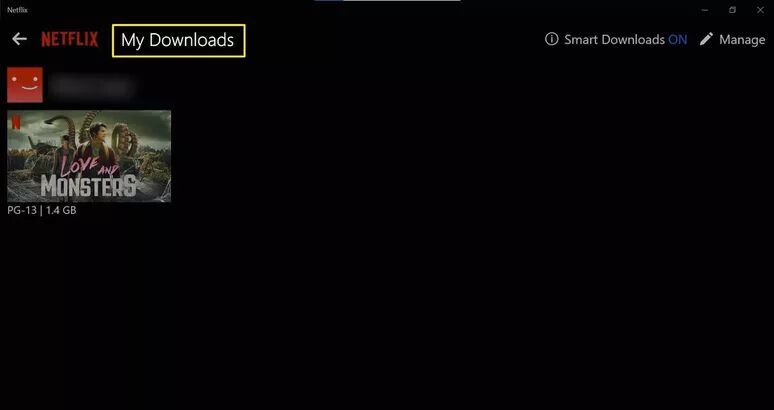 watch downloaded netflix movie on pc