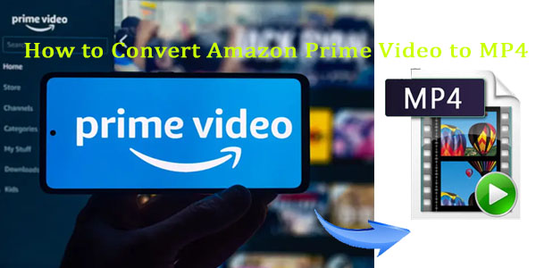 Konvertieren Sie Amazon Prime-Videos in mp4