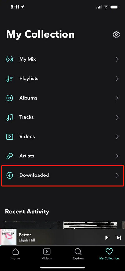tidal downloaded music