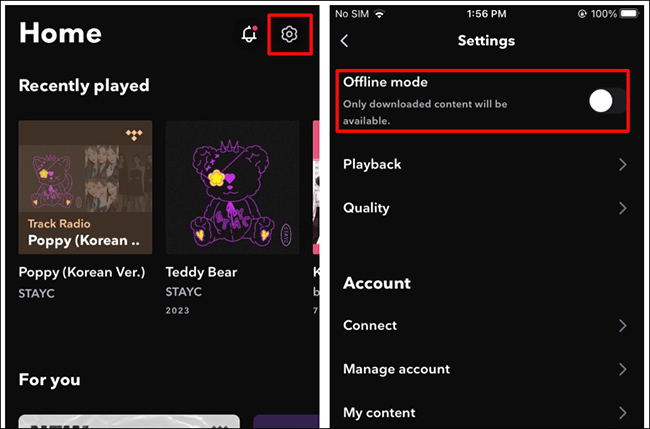 enable tidal offline mode