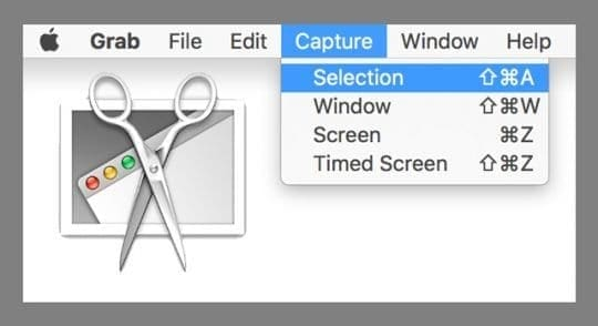 capture a selection in grab