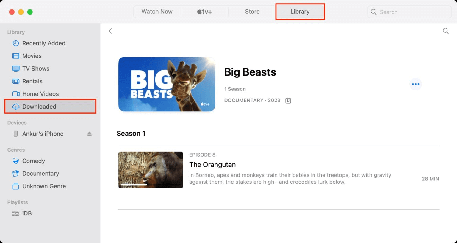 find apple tv downloads
