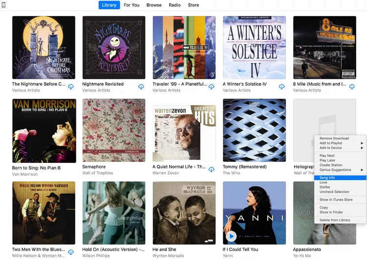 song information in itunes