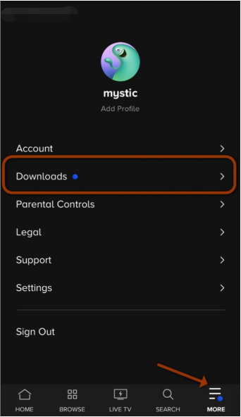 find Paramount Plus downloads