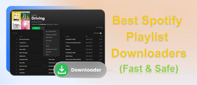 Best Spotify Playlist Downloaders review