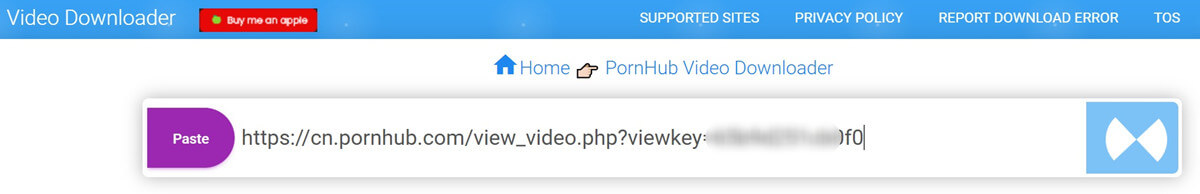 download PornHub video by PasteDownload