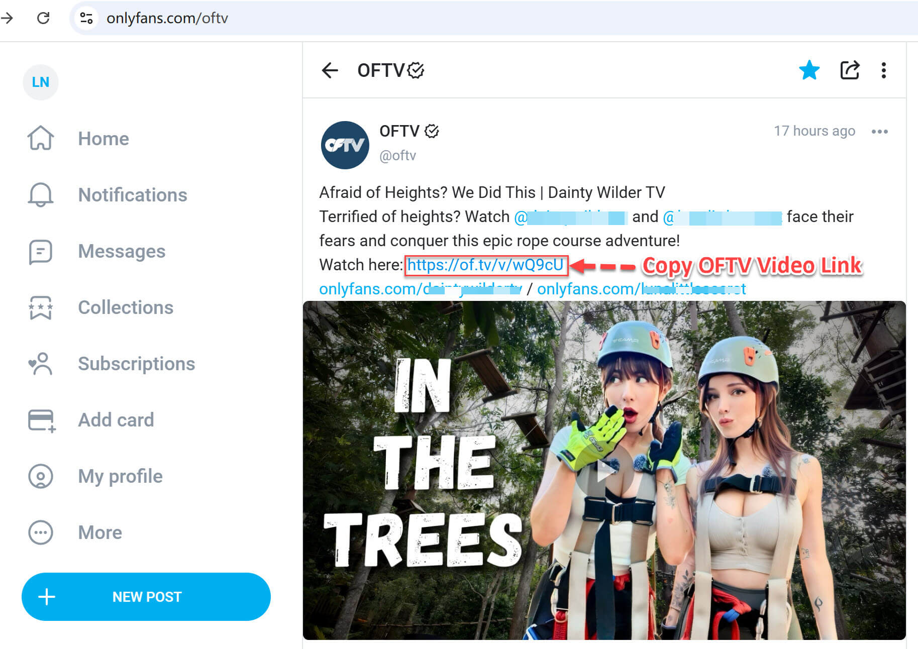 2025 年值得尝试的最佳 OnlyFans 视频下载器（PC 和移动端）