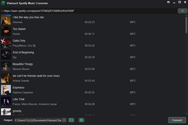 viwizard spotify music converter main interface
