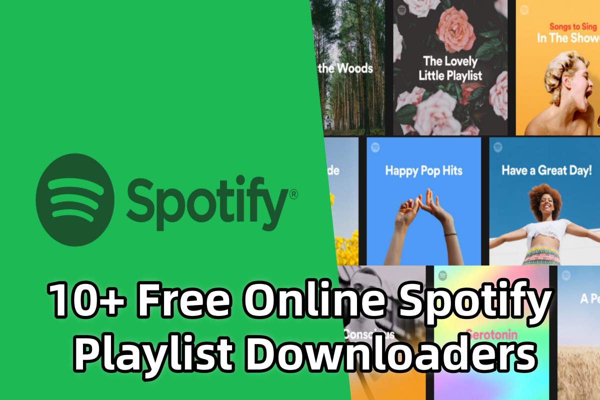 online spotify playlist downloader