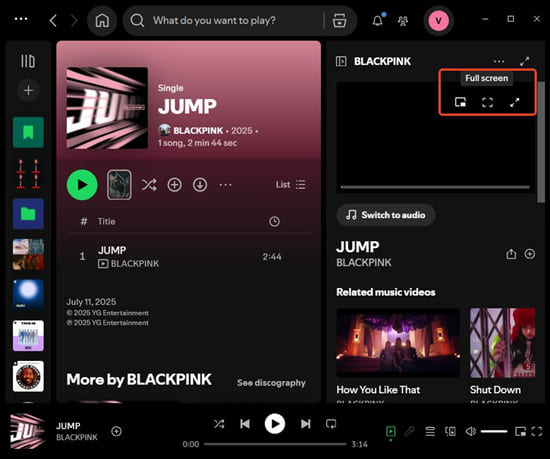 watch Spotify music video in full screen on pc