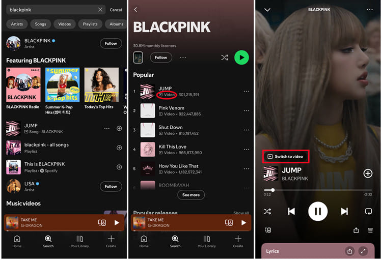 find music video on Spotify
