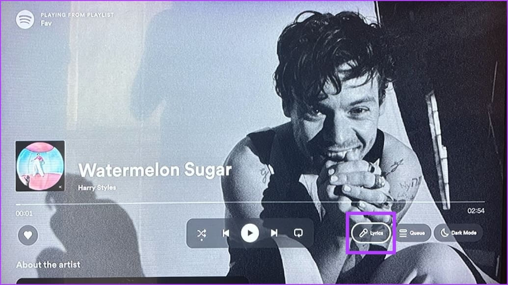 Spotify lyrics on TV