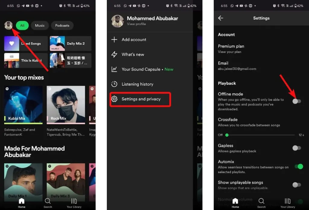 spotify offline mode on mobile