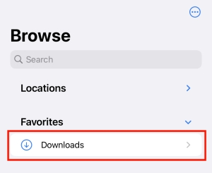 locate iPhone Downloads folder